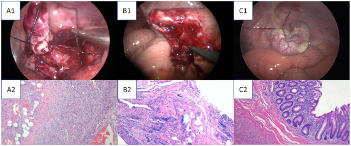 Figure 4