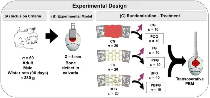 FIGURE 1