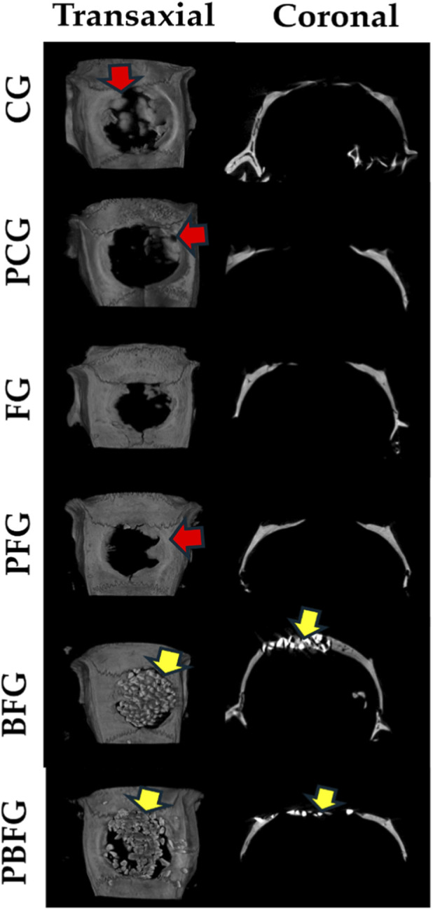 FIGURE 3