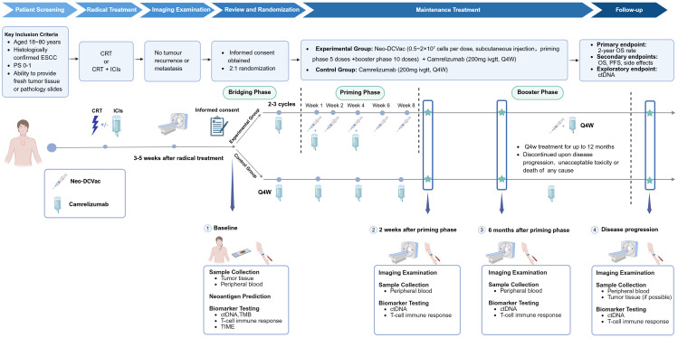 Figure 2