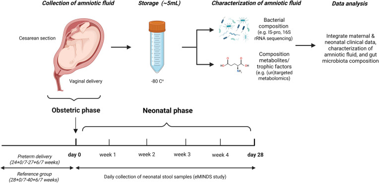 Figure 1