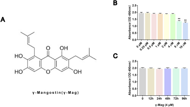 FIGURE 1