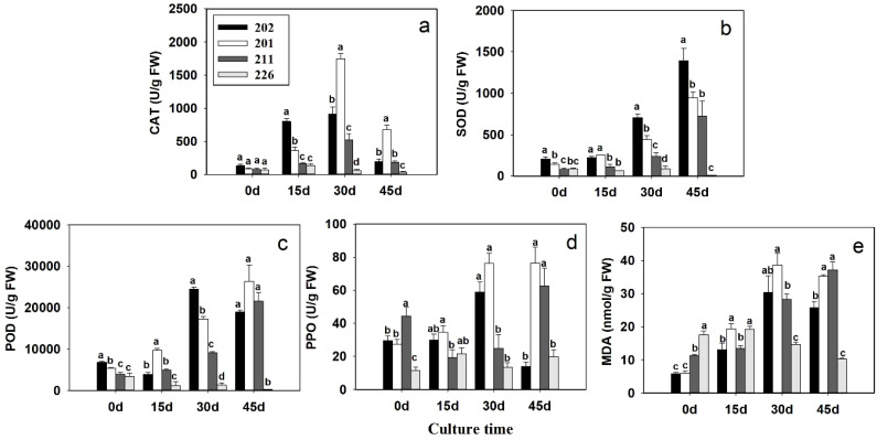 Figure 4