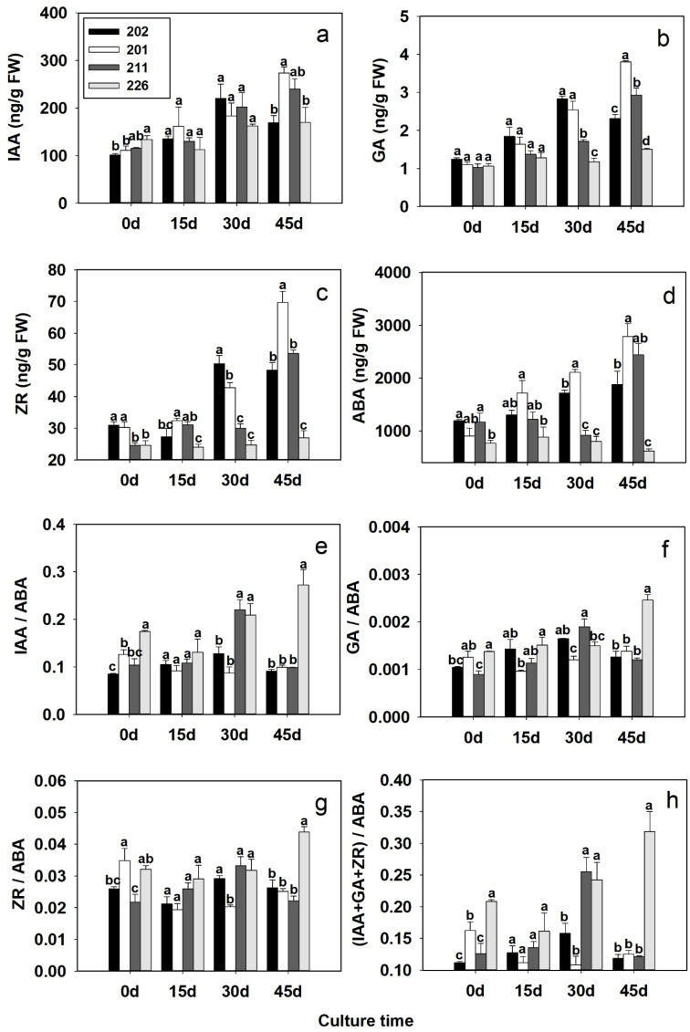 Figure 5