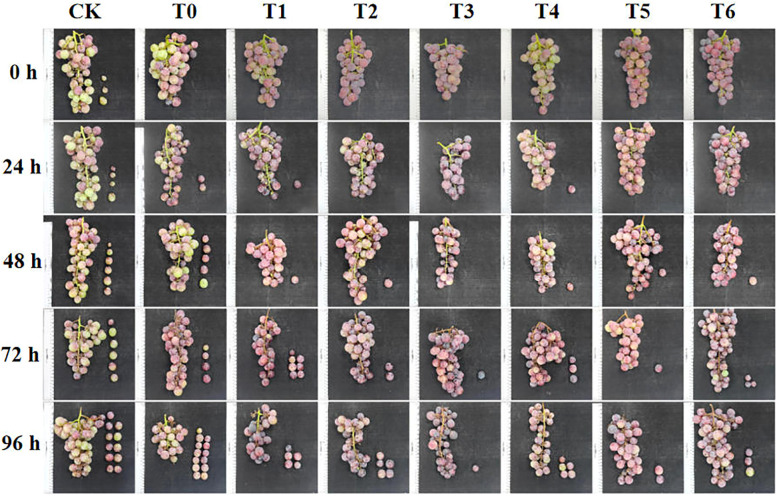 Figure 3