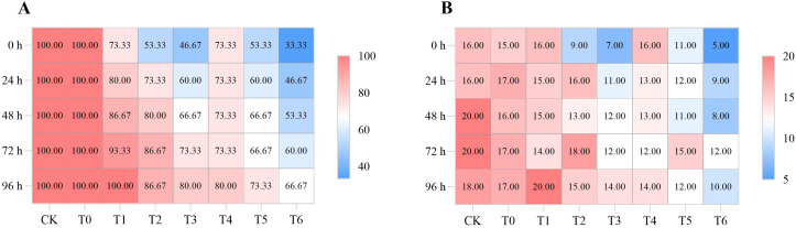 Figure 5
