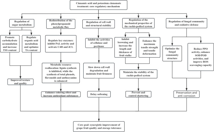 Figure 11