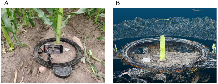 Figure 3