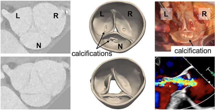 Figure 3