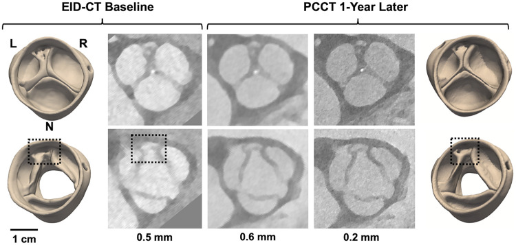 Figure 4
