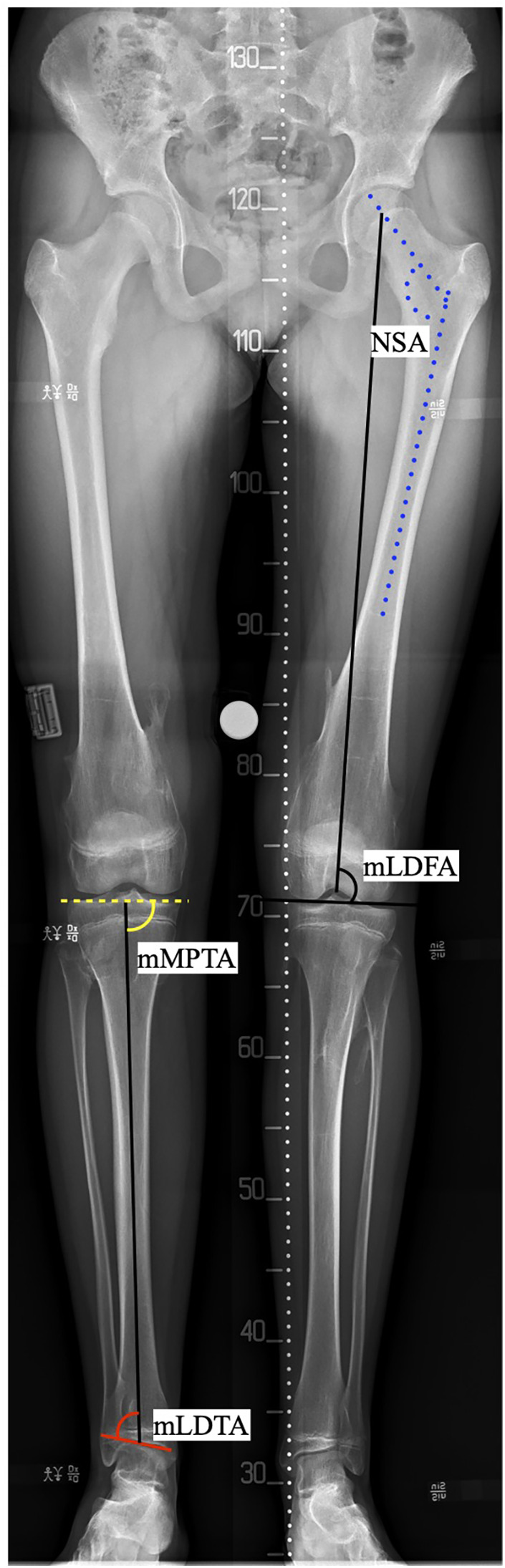 Figure 2