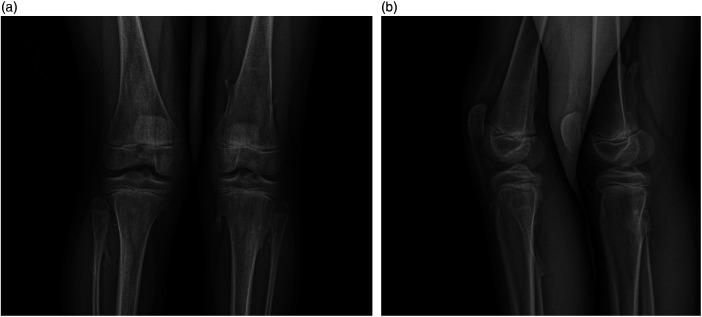 Figure 6