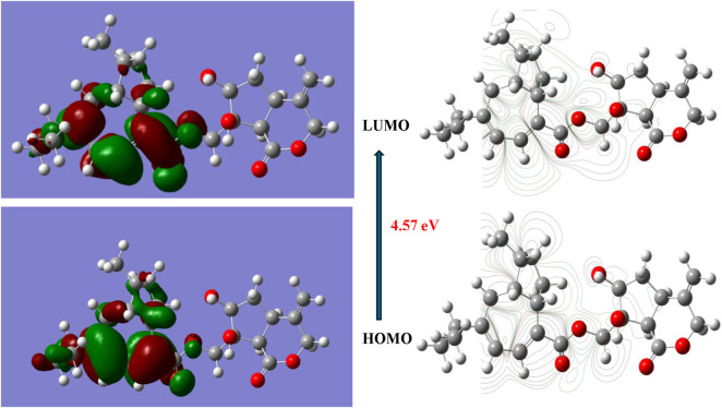 FIGURE 15