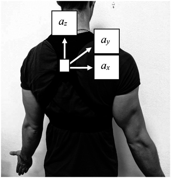 Figure 1