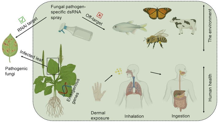 Figure 2