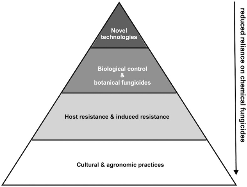 Figure 3