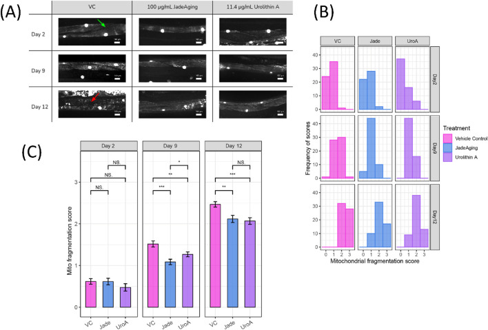 FIGURE 4
