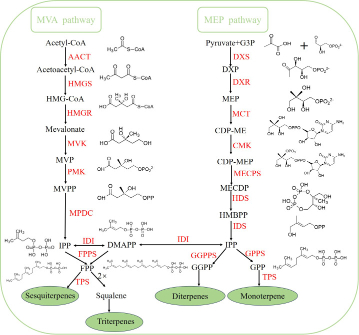 Figure 1
