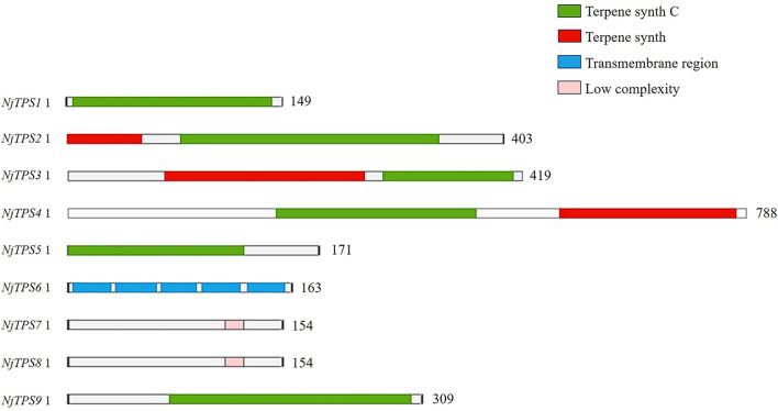 Figure 2