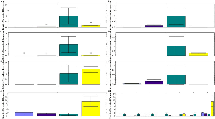 Figure 4