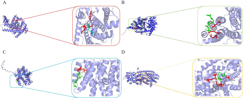 Figure 7