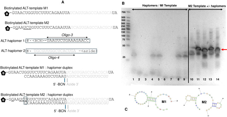 Figure 3