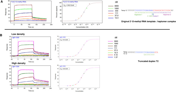 Figure 5