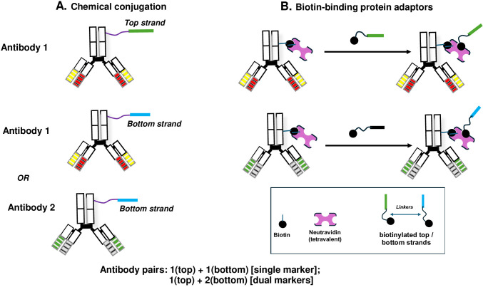 Figure 6