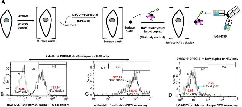 Figure 7