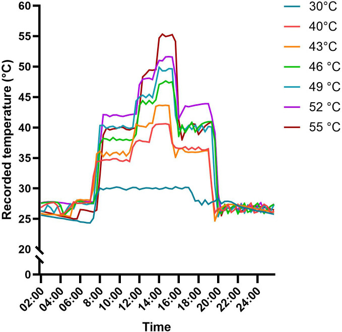 Figure 2