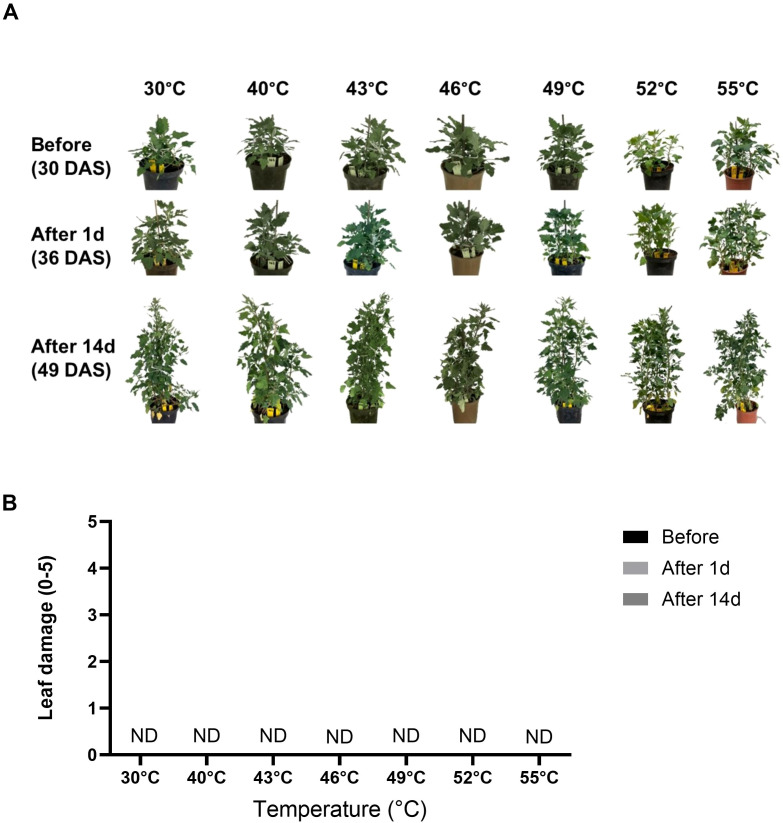 Figure 3