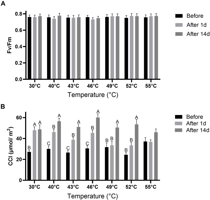 Figure 4