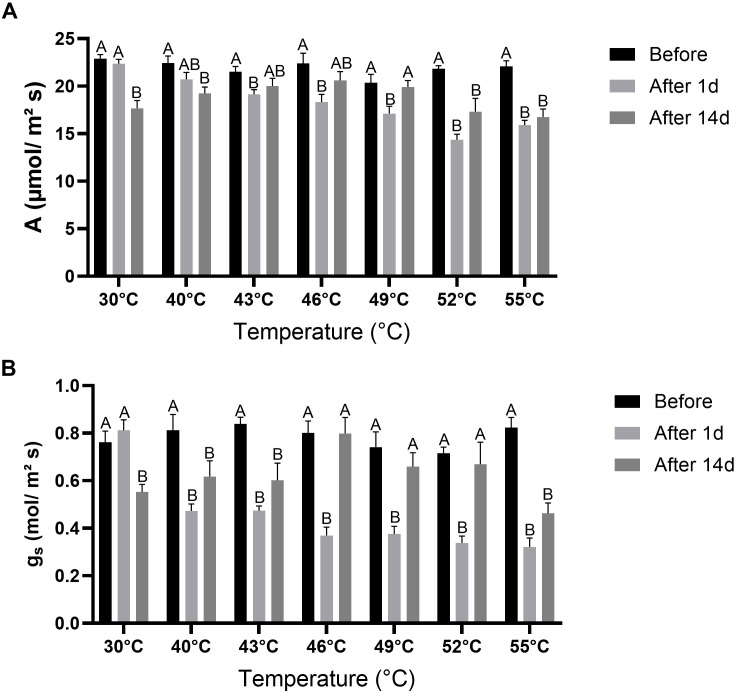 Figure 5