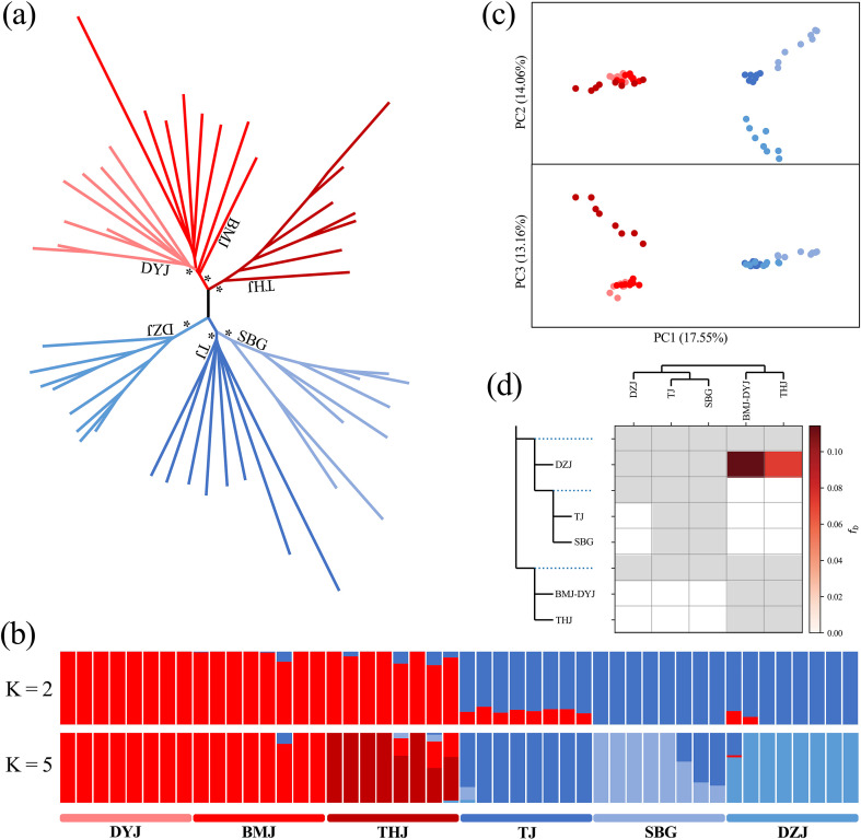 Figure 2