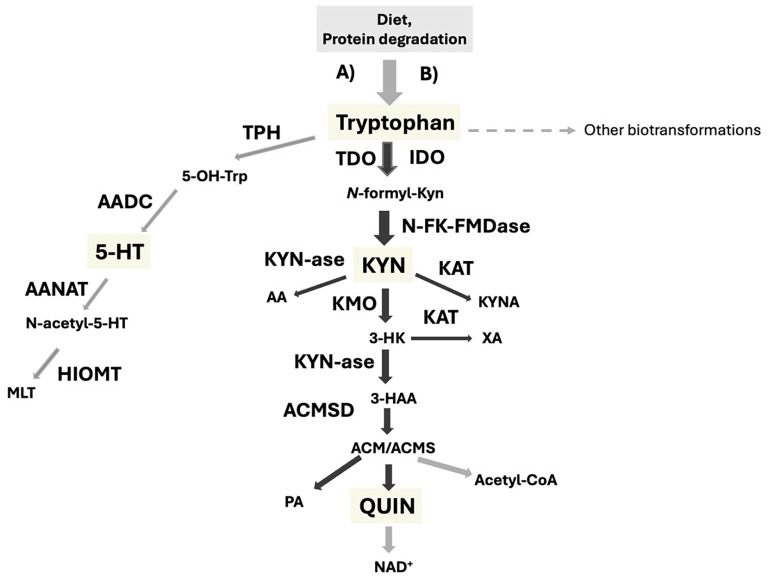 Figure 1