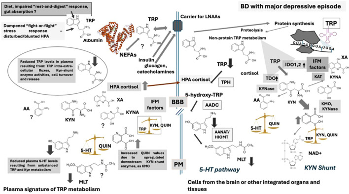 Figure 4