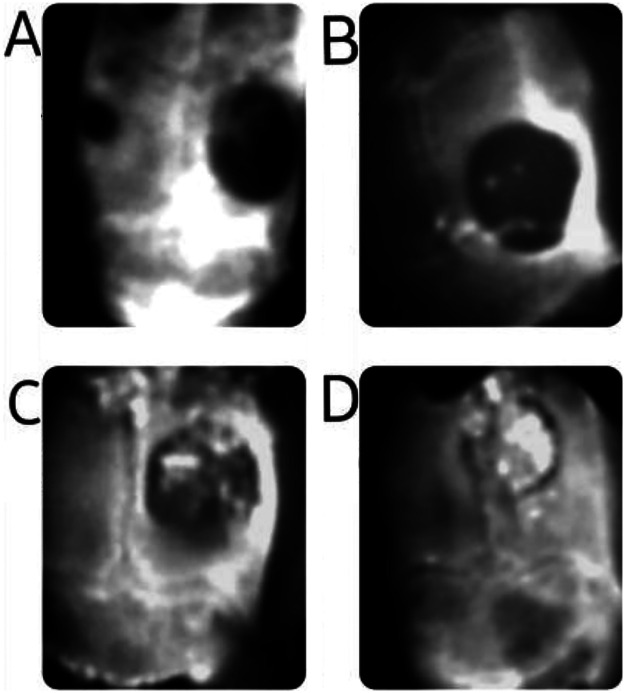Figure 3