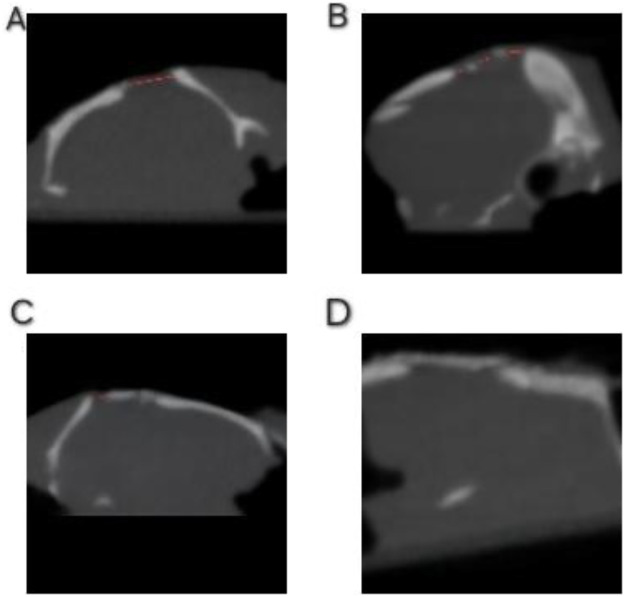 Figure 4