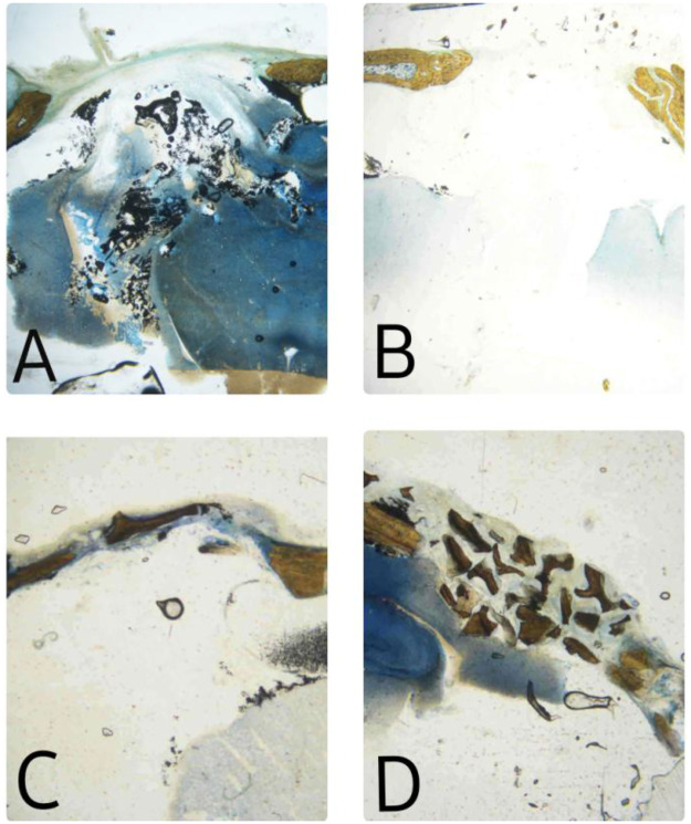 Figure 5