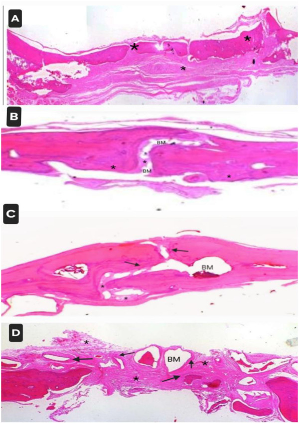 Figure 6