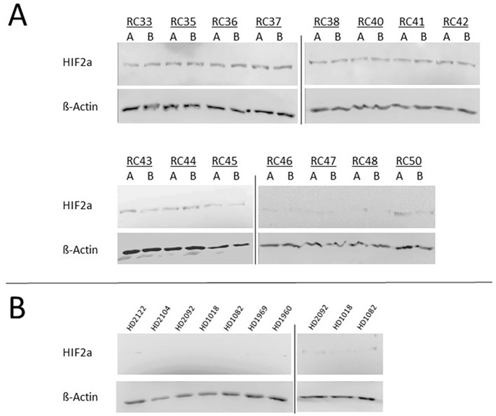Figure 6