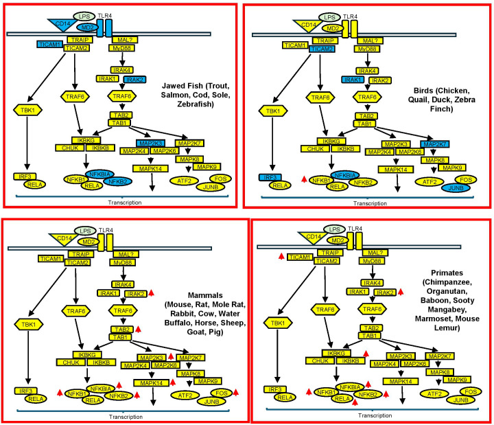 Figure 4