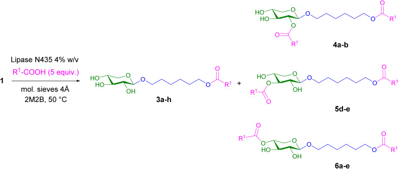 Scheme 2
