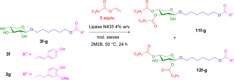 Scheme 5