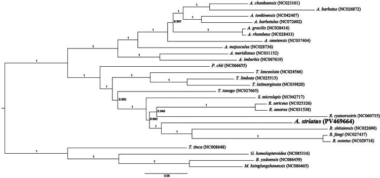 Figure 4