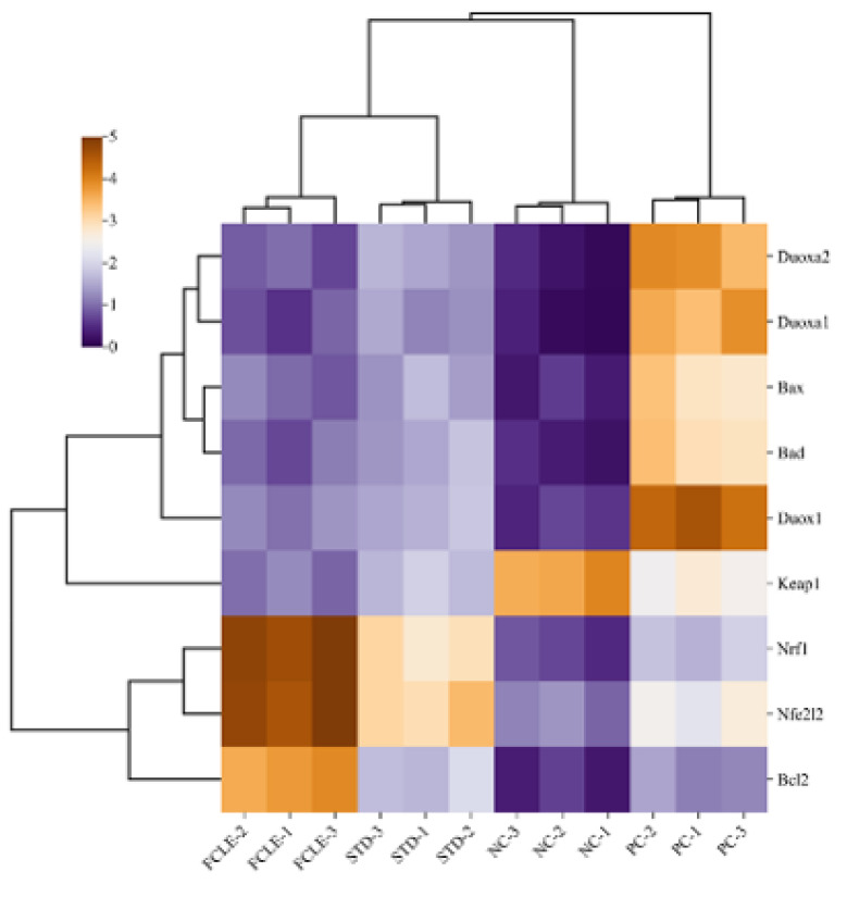 Figure 12