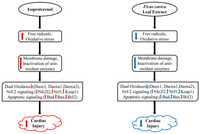 Figure 13