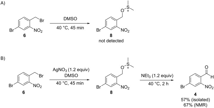 Scheme 5