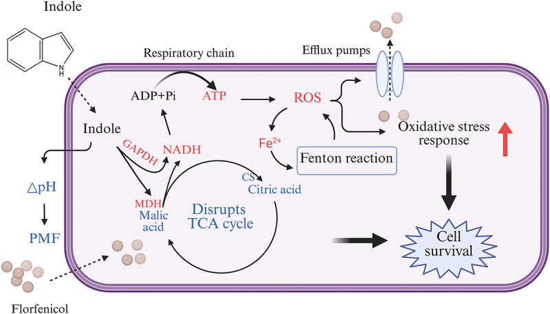Figure 17