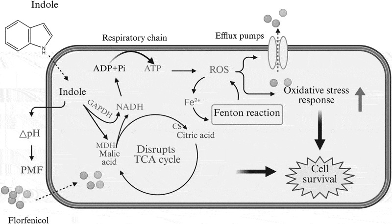 Figure 18